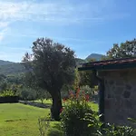 Rustic Montenegro Bridje