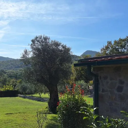 Rustic Montenegro Bridje