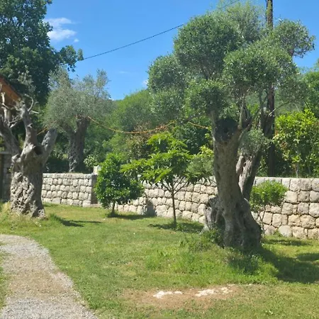 Rustic Montenegro Bridje Podgorica